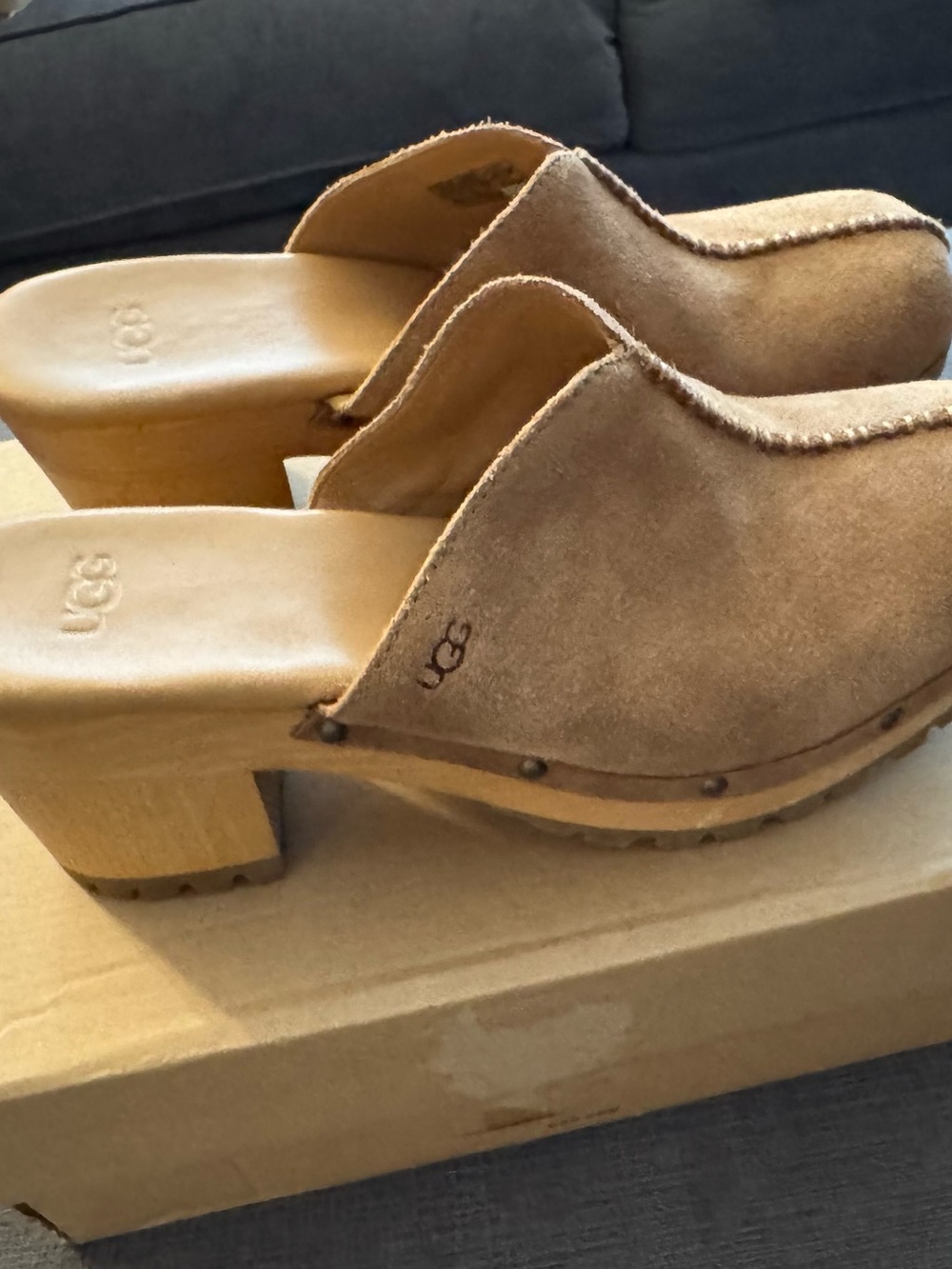UGG Women's Suede Clog Mules in Chestnut Brown